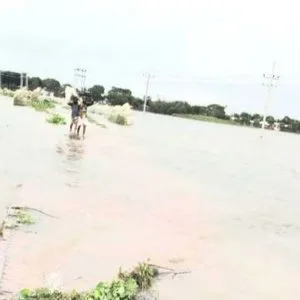 কুষ্টিয়ার ৪০ গ্রামের মানুষ পানিবন্দি, ফসলের ব্যাপক ক্ষতি