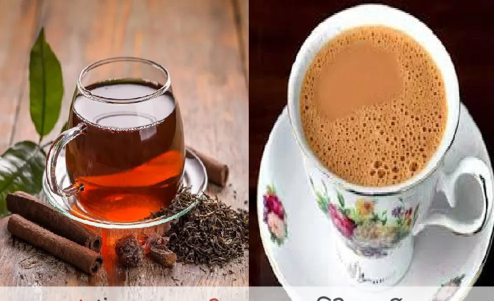 খালি পেটে চা পান উপকারী না ক্ষতিকর, কী বলছেন পুষ্টিবিদ