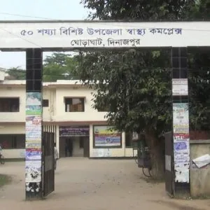 ভ্যানে ট্রাকের ধাক্কা, প্রাণ গেলো ২ যাত্রীর