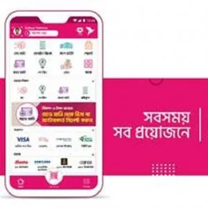এমএফএসে সর্বোচ্চ রেমিট্যান্স এসেছে আগস্টে, বেশিরভাগই বিকাশে