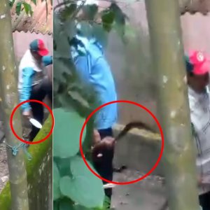 উচ্চশব্দে গানবাজনা, প্রতিবাদ করায় দলবল নিয়ে সাবেক বিজিবি সদস্যের বাড়িতে হামলা