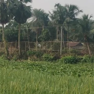 পাঁচবিবি সীমান্তে আবারও কাঁটাতারের বেড়া দিয়েছে বিএসএফ