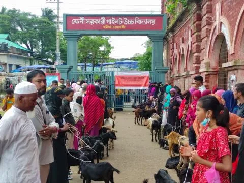 বন্যা পরবর্তী পুনর্বাসনে দারাজ