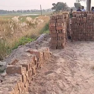 সরকারি রাস্তা খুঁড়ে ইট বিক্রি করে দিলেন বিএনপি নেতা, অভিযোগ গ্রামবাসীর