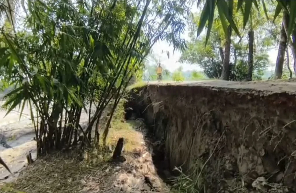 কলাপাড়ায় খালের মাটি কেটে বিক্রি করায় ধসে পড়েছে গুরুত্বপূর্ণ সড়ক