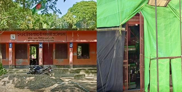চরবাড়িয়ায় স্কুলের পাশে মুরগির খামার, দুর্গন্ধে অতিষ্ঠ শিক্ষার্থীরা
