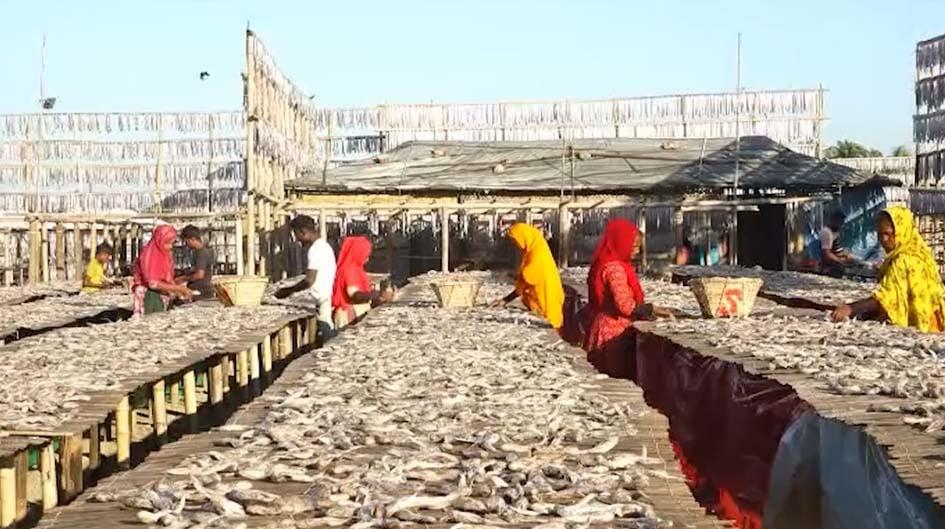 শুঁটকি উৎপাদনের ধুম কক্সবাজারে